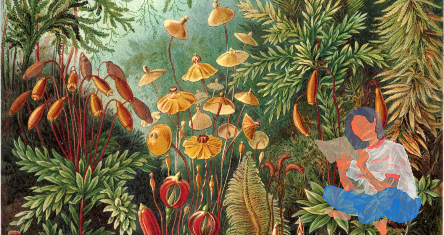 Dragonfly: An Exploration of Eco-fiction